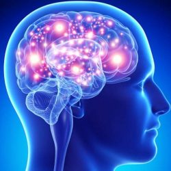 story-of-man-told-by-doctors-he-only-had-half-a-brain story-of-man-told-by-doctors-he-only-had-half-a-brain